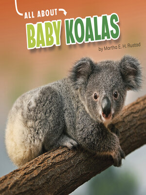 cover image of All About Baby Koalas